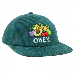 OBEY / FRUITS 6 PANEL SNAPBACK CAP (DARK CEDAR)