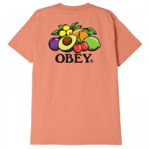 OBEY / OBEY BOWL OF FRUIT CLASSIC TEE (CITRUS)