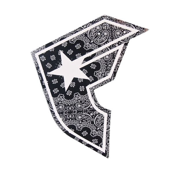 FAMOUS STARS AND STRAPS / PAISLEY BOH STICKER (8”)