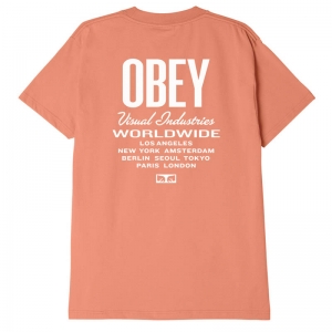 OBEY / OBEY VISUAL IND. WORLDWIDE CLASSIC TEE (CITRUS)